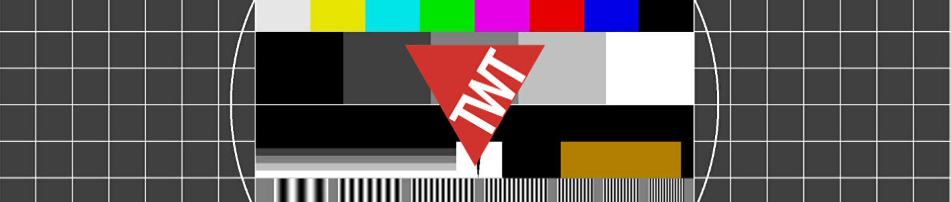 Torino Web TV